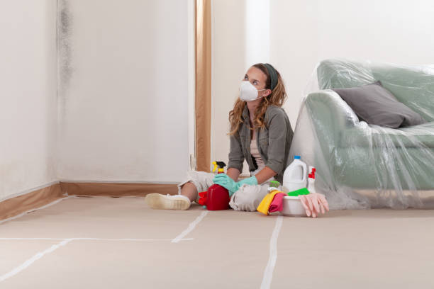 Reliable Mold Testing contractor in Hauppauge, NY by WQB Mold Removal